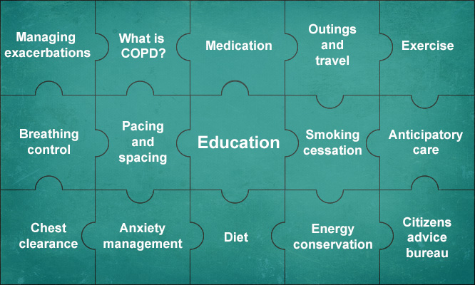 Education jigsaw pieces