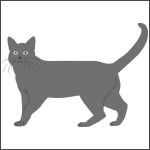 Allergies cat