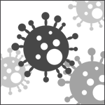 Mould spores