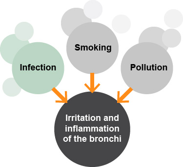Causes of chronic bronchitis